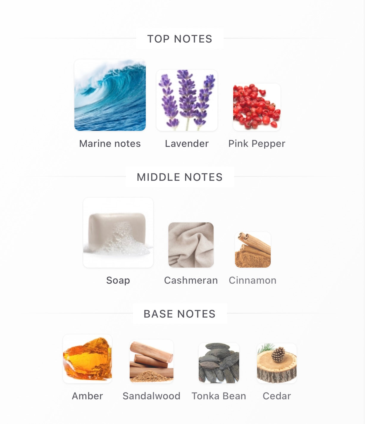 Lattafa Asad Zanzibar Limited Edition Edp