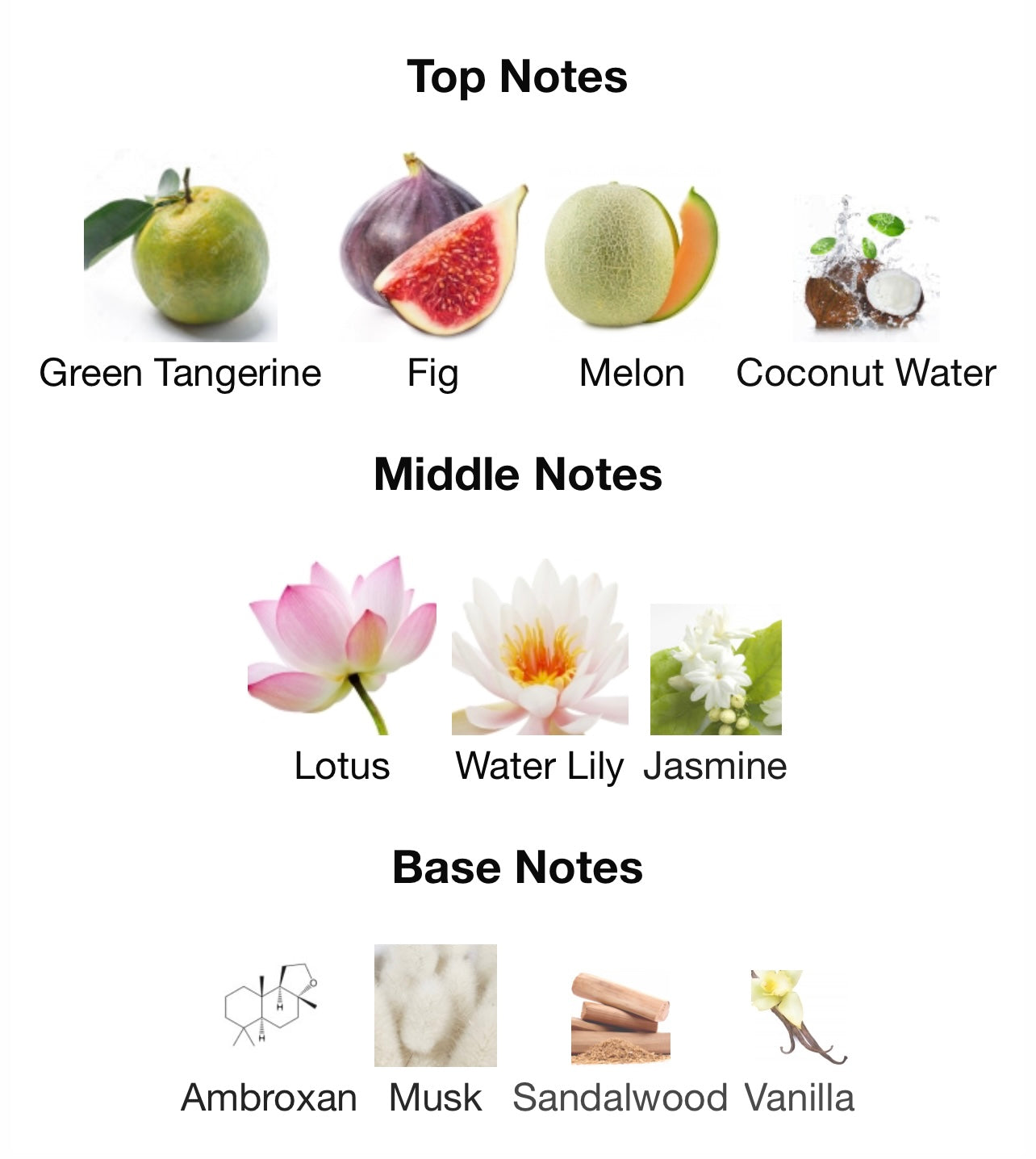 لطافة ميار Natural Intense edp