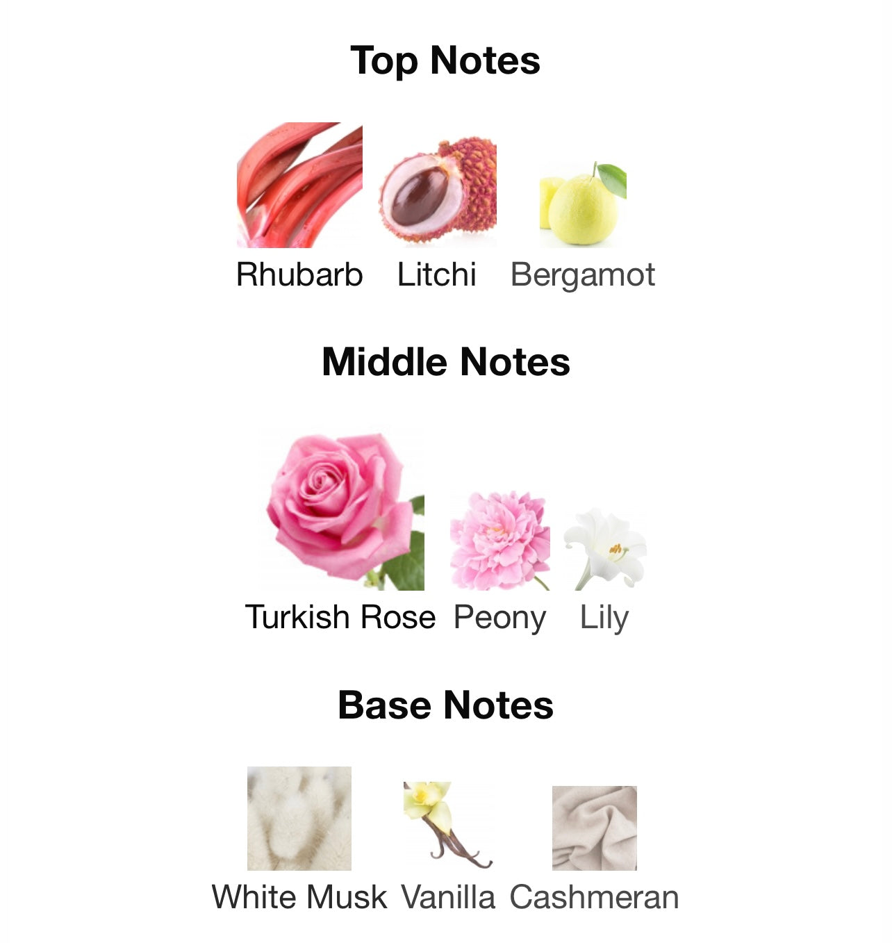 عطر ميزون الحمراء دليلة