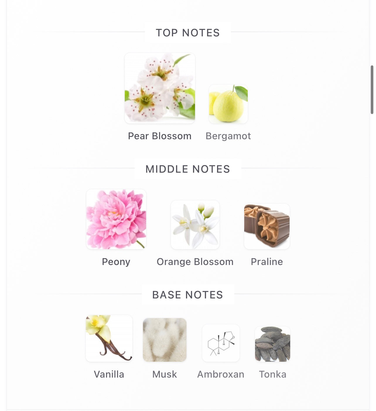 Lattafa Angham Second Song Edp