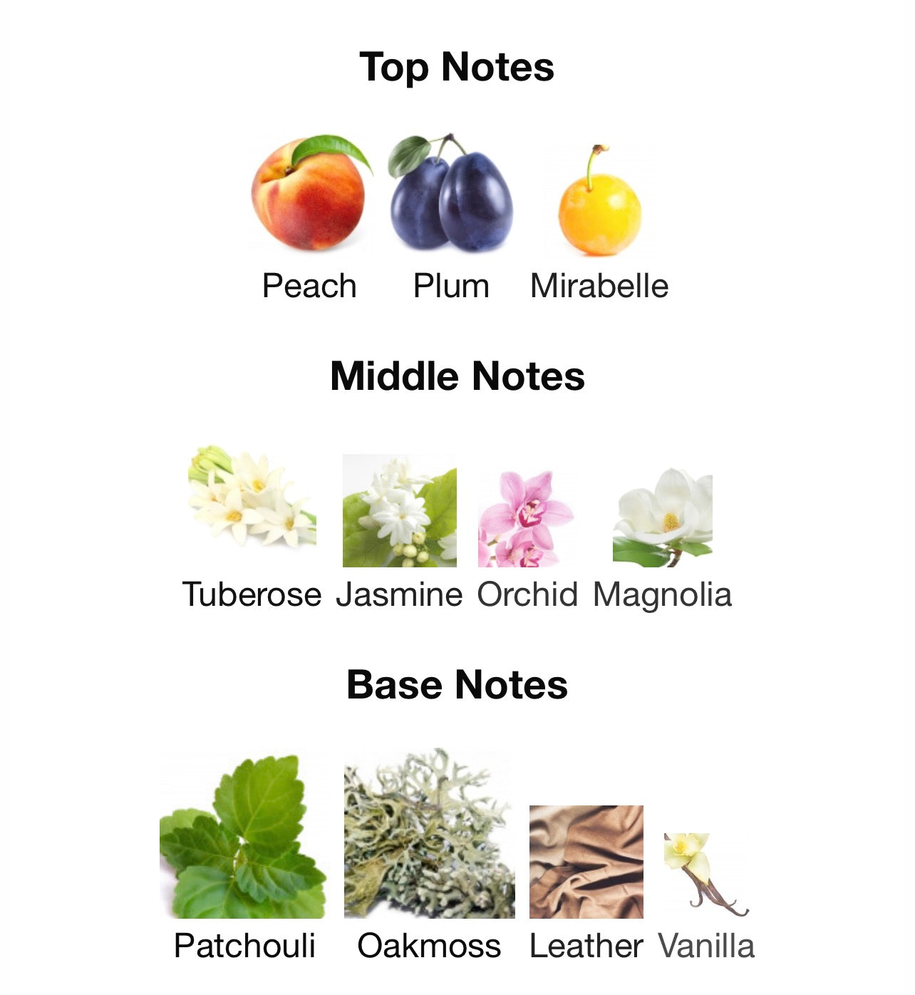 El Nabil Musc El Janata (Oil)