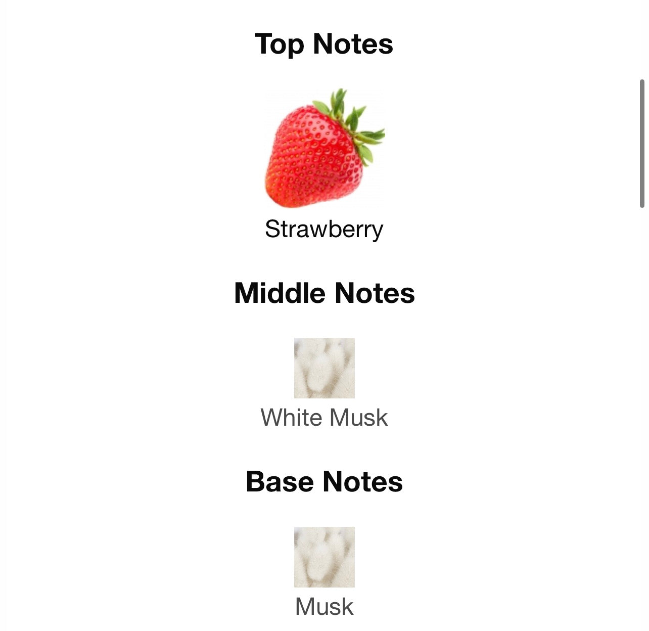 زيت النبيل المسك الفاكهي