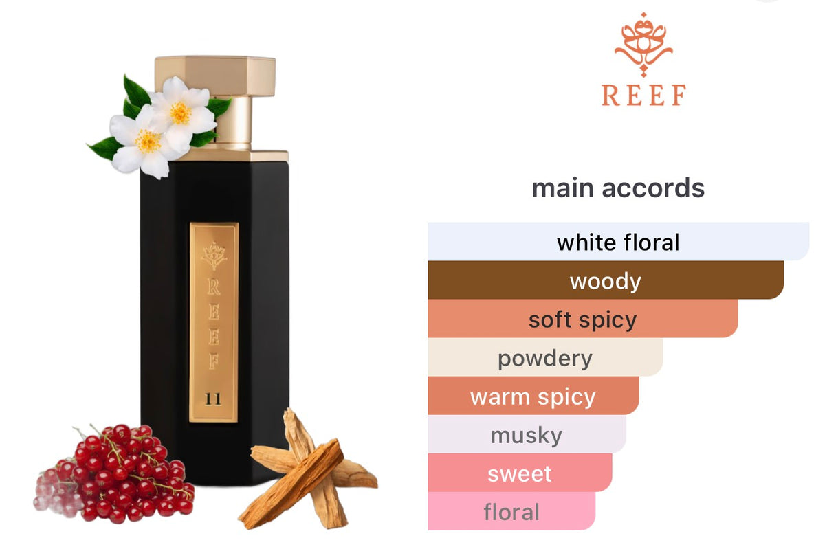Reef 11 Edp