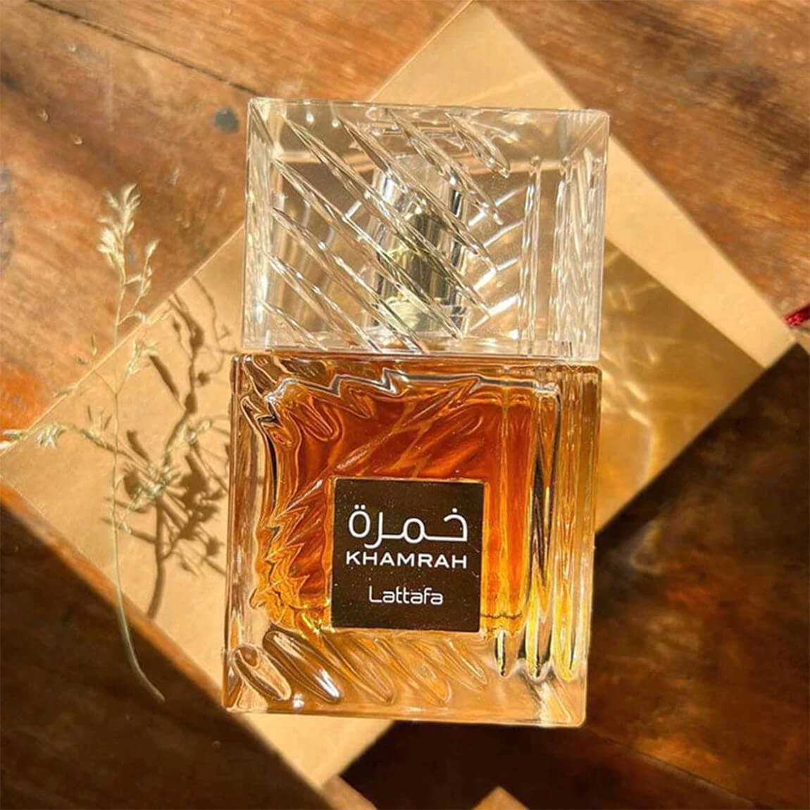 لطافة خمرة